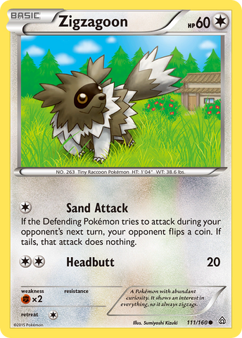 Zigzagoon (111/160) [XY: Primal Clash]